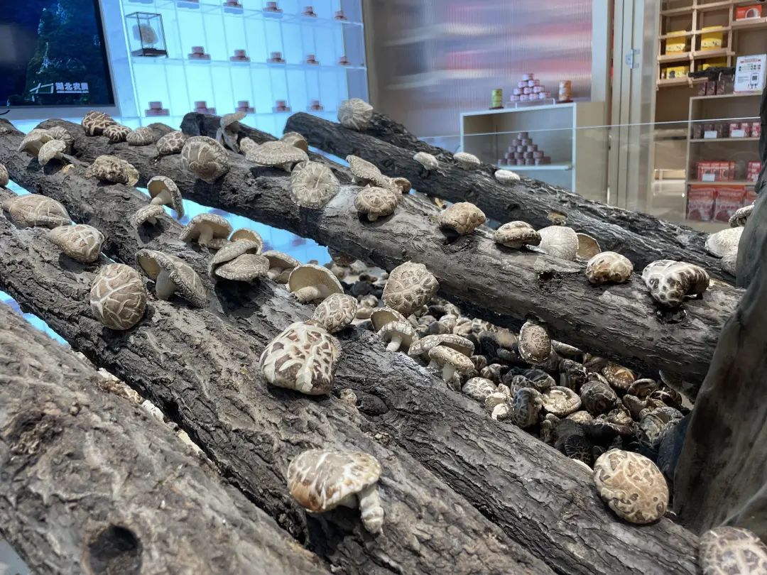 pp电子(中国)官方网站