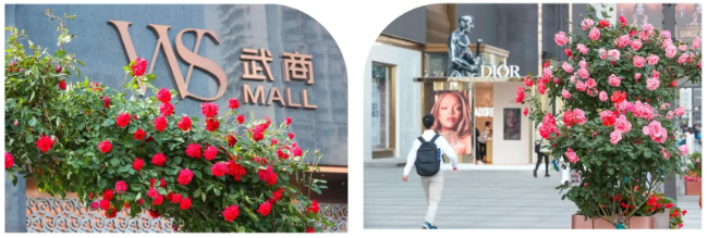 pp电子(中国)官方网站