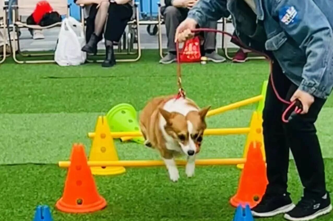 pp电子(中国)官方网站