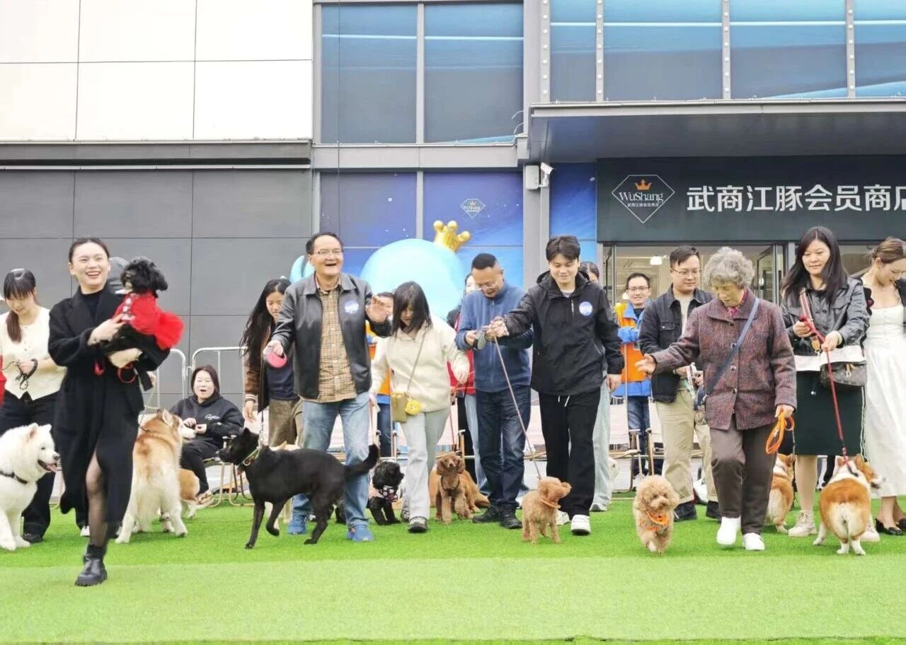 pp电子(中国)官方网站