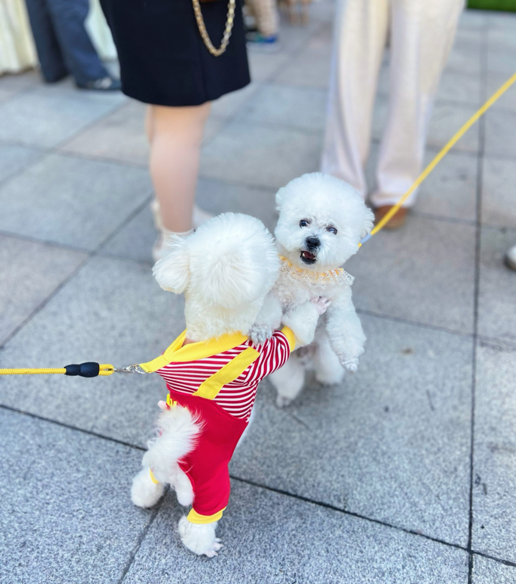 pp电子(中国)官方网站