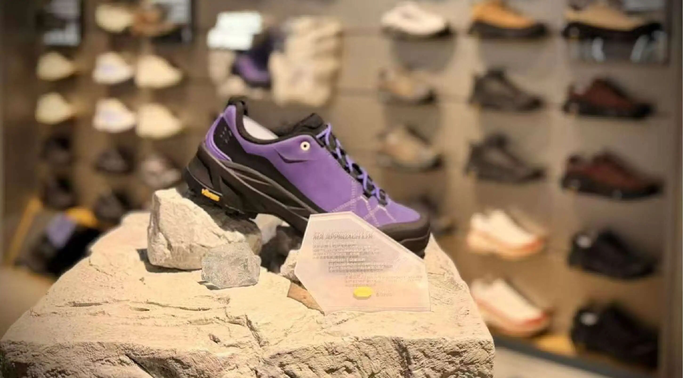 pp电子(中国)官方网站