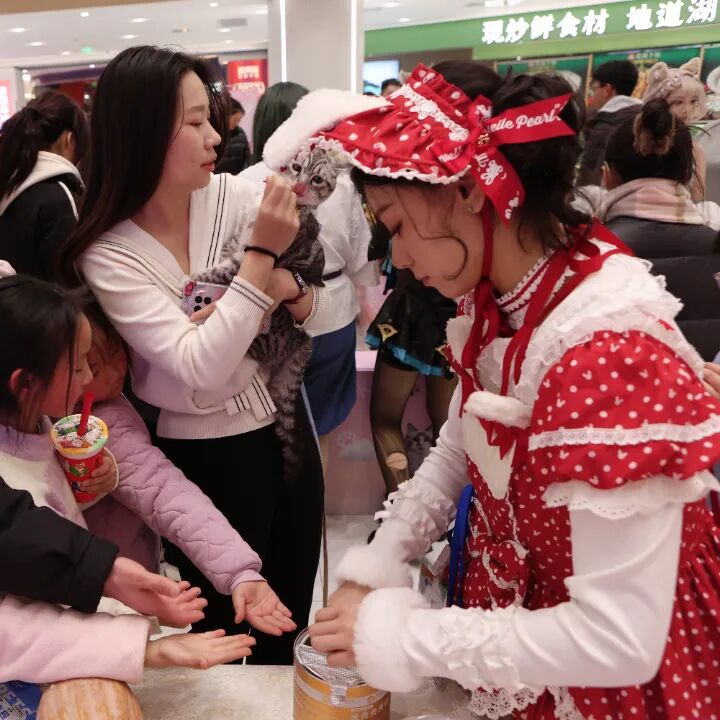 pp电子(中国)官方网站